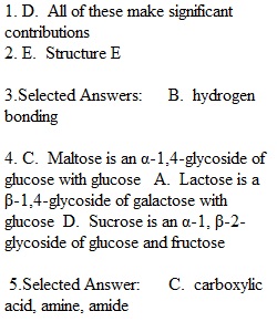 Exam 3